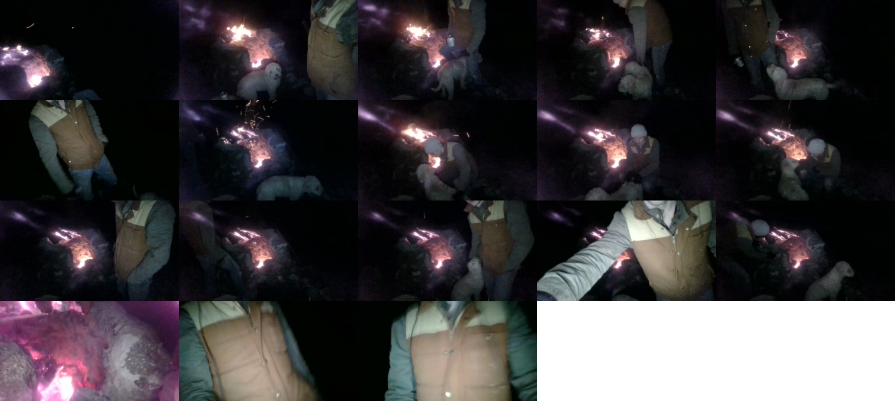 Smilezszs  23-11-2021